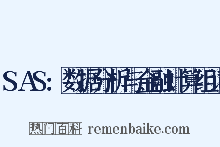SAS:数据分析与金融计算组词是什么意思的图片
